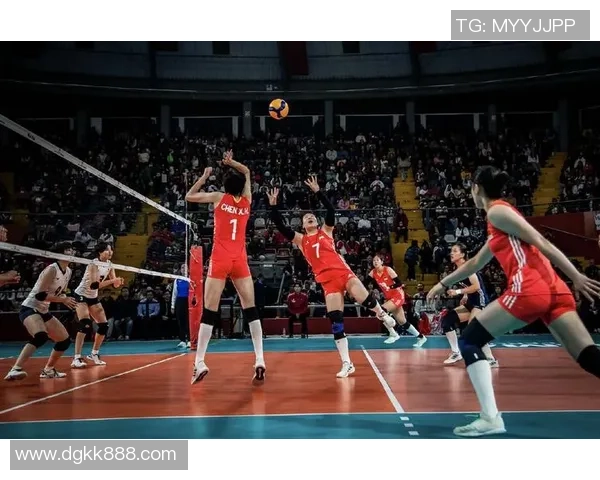 杭州排球队在全国排球意识排行榜中荣获第五名的辉煌成就